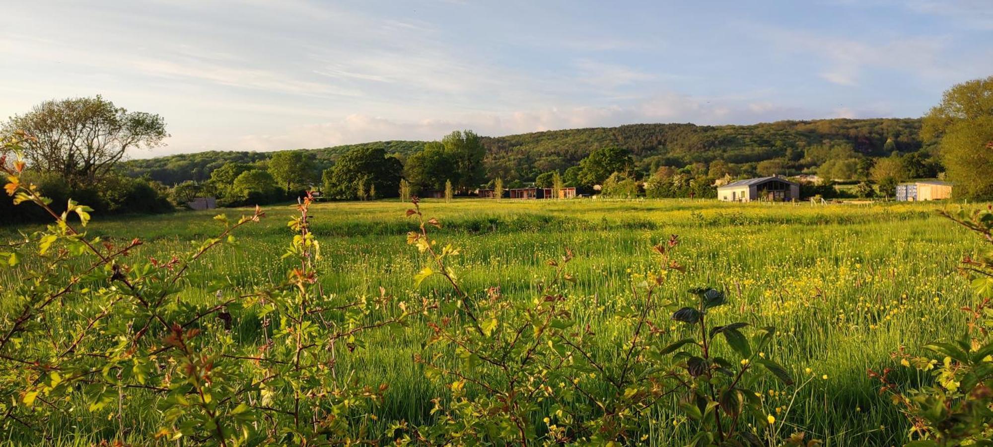 Eco Cabin With Lovely View Of Mendips Aonb Cabin N 1 Congresbury Dış mekan fotoğraf